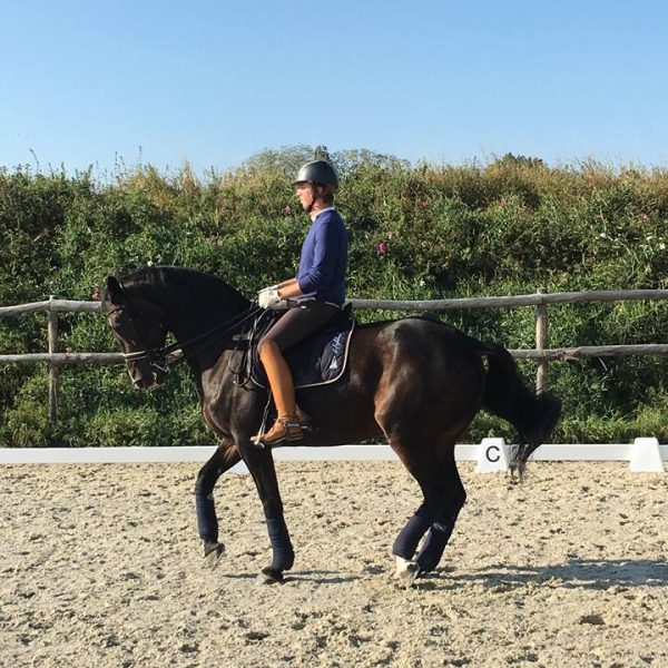 Antoine Nowakowski Dressage