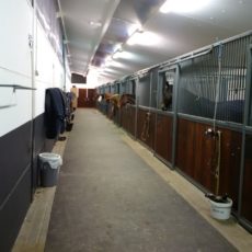 Boxes-